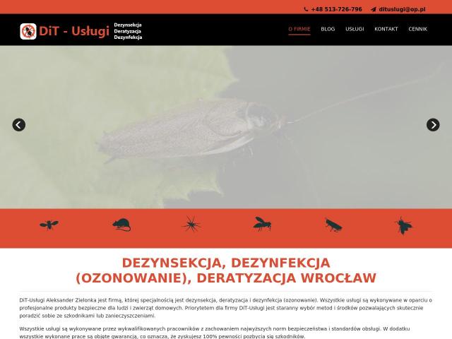 Zobacz DiT-Usługi